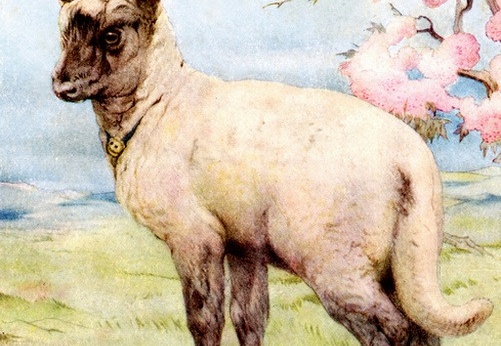 edward-j-detmold