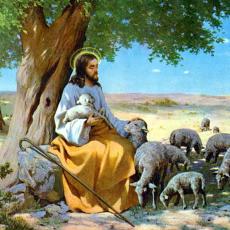 Jesus with the Sheep, by Albo