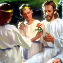 Artist Harry Anderson