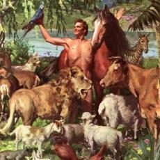 Artist Harry Anderson