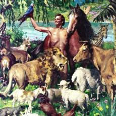 Artist Harry Anderson