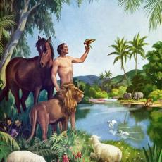 Artist Robert Temple Ayres
