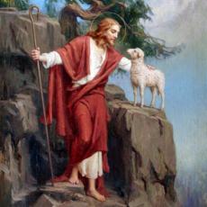 good-shepherd