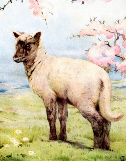 Artist Edward J. Detmold