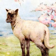 Artist Edward J. Detmold