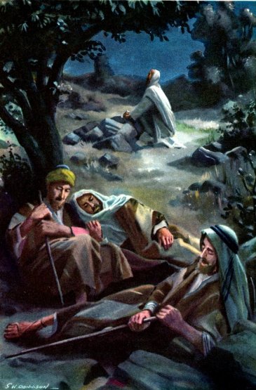 Images of Jesus by S.W. Donnison