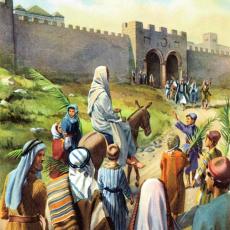 Images of Jesus by S.W. Donnison
