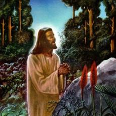 Images of Jesus by Warren Kreuter