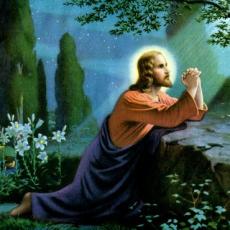 father-loubnitz