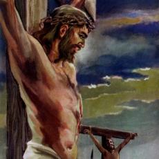 The Life of Jesus Christ by Paul Laune