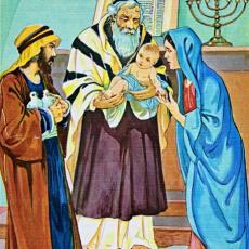 The Life of Jesus Christ by Viola Ruth Lowe