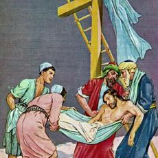 The Life of Jesus Christ by Viola Ruth Lowe