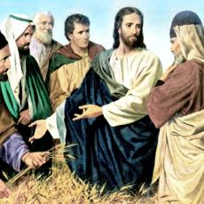 The Ministry of Jesus Christ by William Luberoff