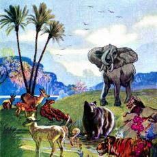 Homer S. Nelson, 20th Century, United States