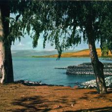 photo-galilee