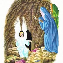 Harry Steele Savage 04