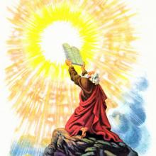 Harry Steele Savage 09