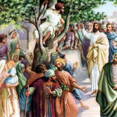 zaccheus