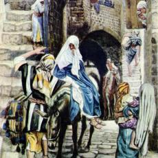 tissot_no-room