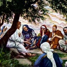tissot_teaching