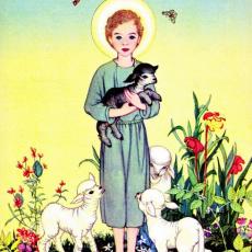 marjorie-torrey-hood-01