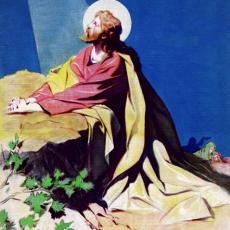 Artist Whit, 20th Century illustration