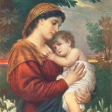 Hans Zatzka Zabateri 1859-1945, Austria